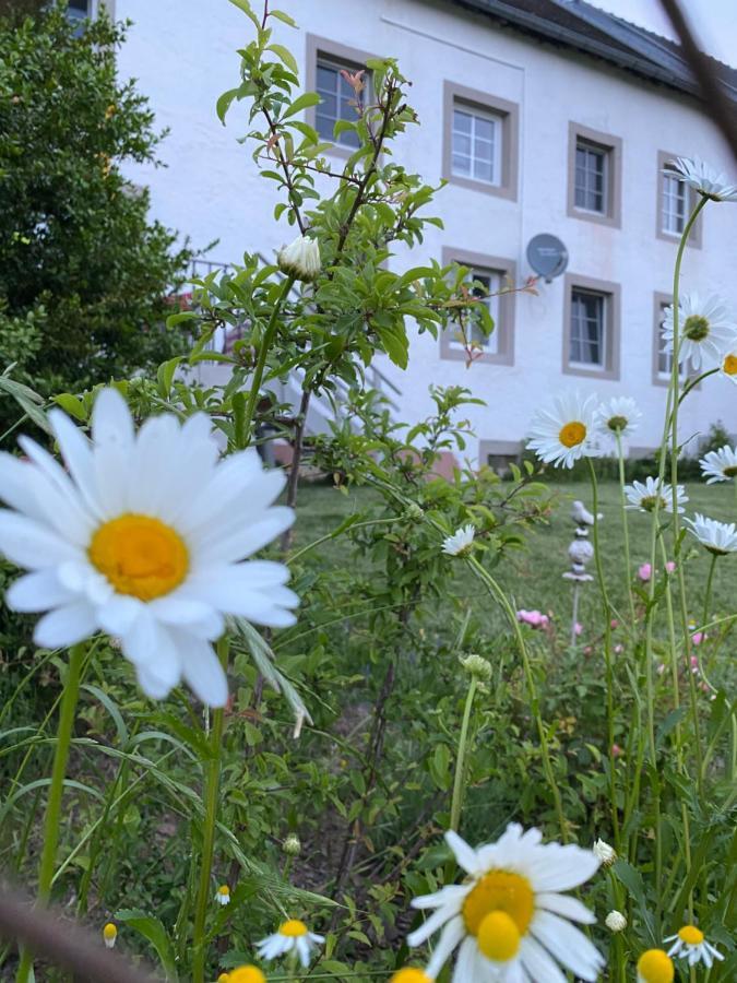 An Der Walnuss Feilsdorf Exterior foto